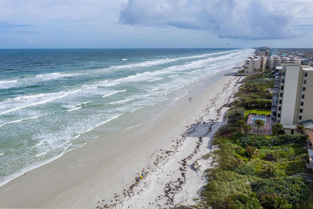 Turtles Nest Pool Home ~ Hot Tub ~ Walking Distance To The Beach - 821 E. 11Th New Smyrna Beach Ngoại thất bức ảnh